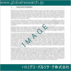 グローバルリサーチ調査資料のイメージ